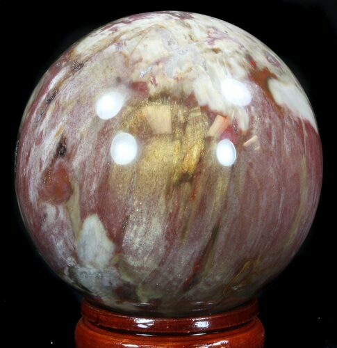 Colorful Petrified Wood Sphere #36959